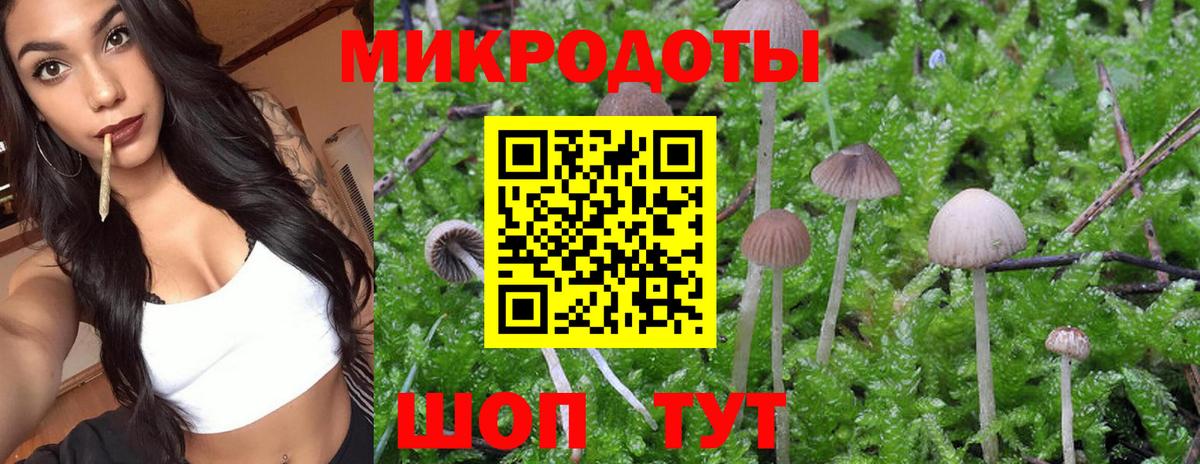 Псилоцибиновые грибы ЛСД Кириши